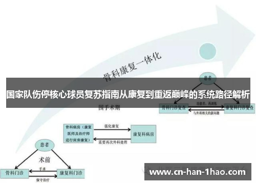 国家队伤停核心球员复苏指南从康复到重返巅峰的系统路径解析