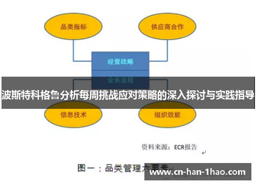 波斯特科格鲁分析每周挑战应对策略的深入探讨与实践指导